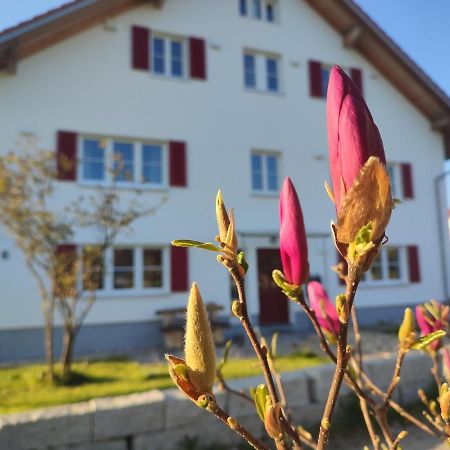 Viel Platz In Bernbach Leilighet Bidingen Eksteriør bilde